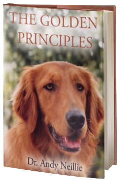 The Golden Principles