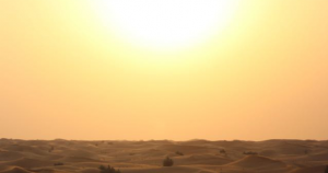 desert