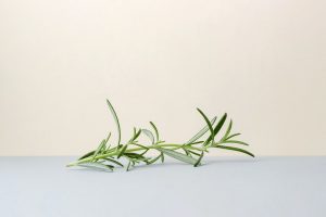 Rosemary Sprig